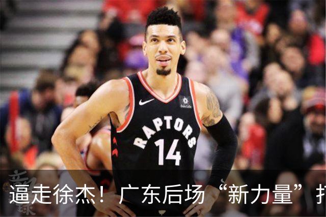 逼走徐杰！广东后场“新力量”打成大腿，杜锋为他放弃控卫外援！