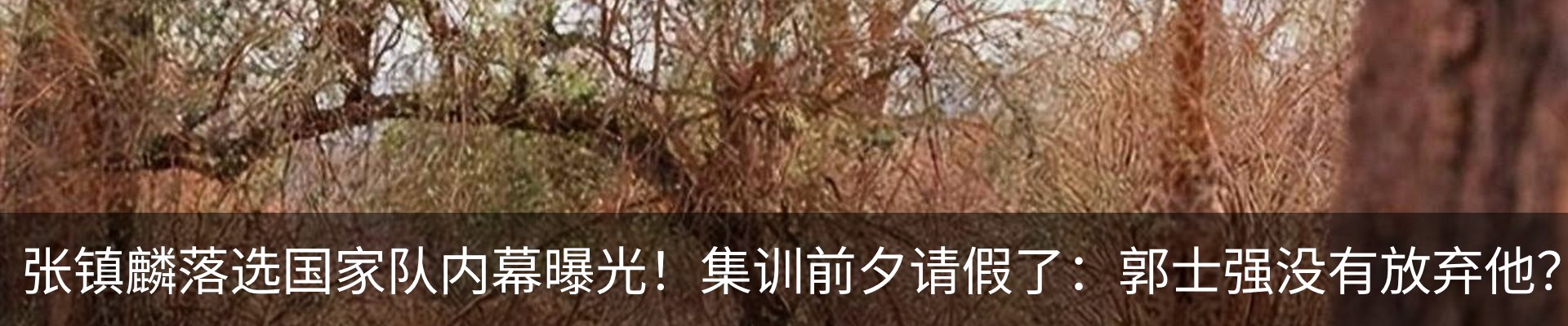 资讯动态